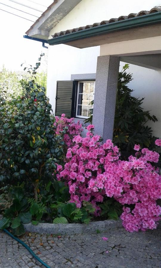 São Pedro do Sul Casa Pinhoゲストハウス エクステリア 写真