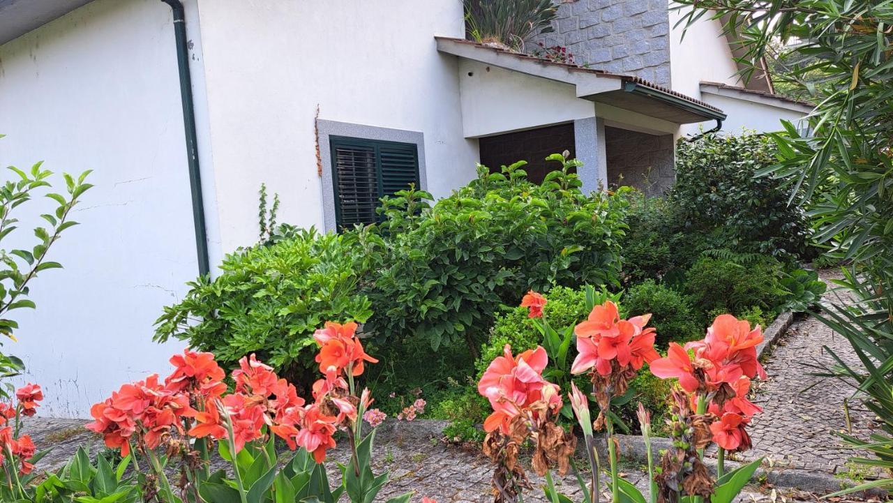 São Pedro do Sul Casa Pinhoゲストハウス エクステリア 写真