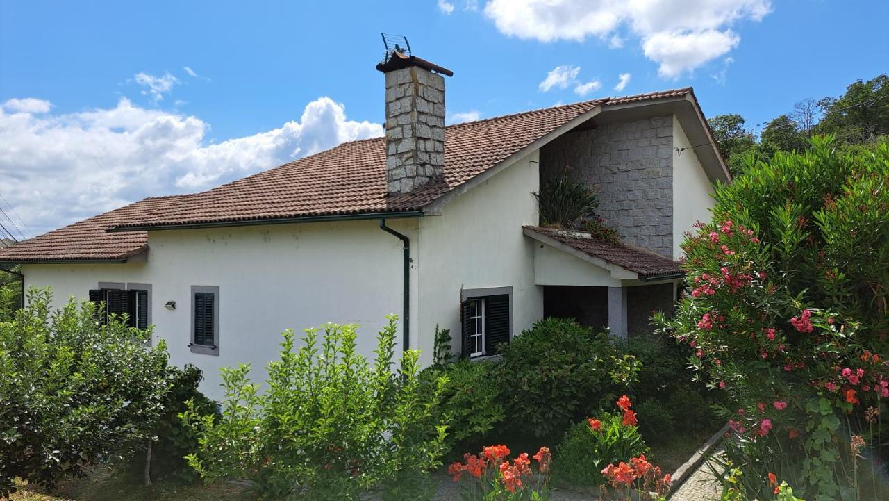 São Pedro do Sul Casa Pinhoゲストハウス エクステリア 写真