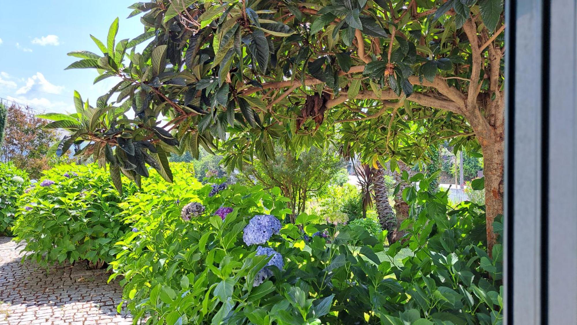 São Pedro do Sul Casa Pinhoゲストハウス エクステリア 写真