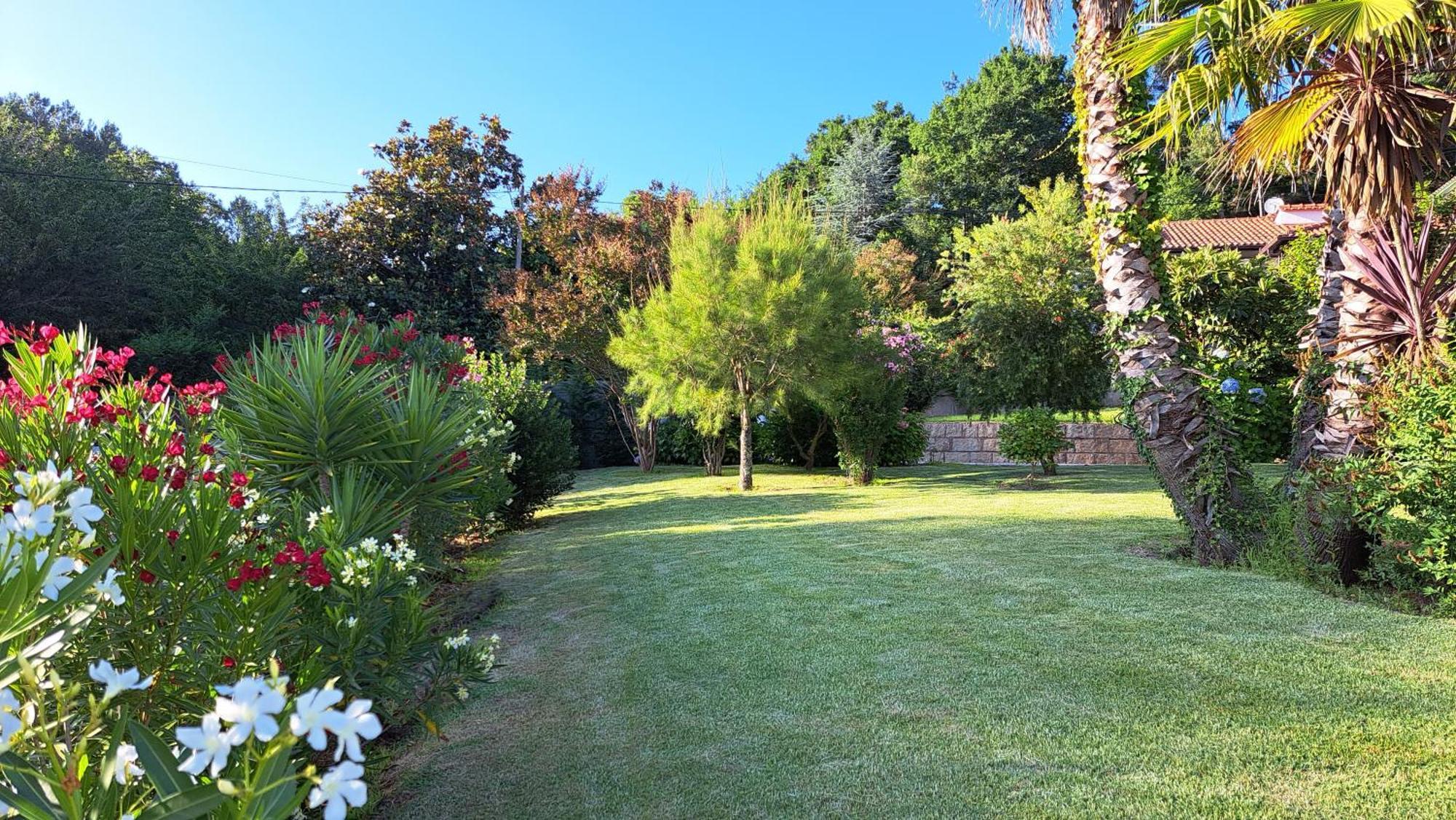 São Pedro do Sul Casa Pinhoゲストハウス エクステリア 写真