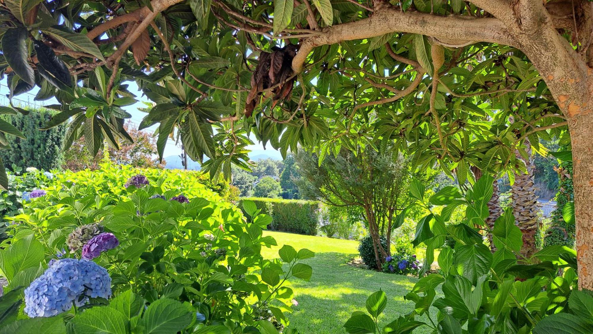 São Pedro do Sul Casa Pinhoゲストハウス エクステリア 写真
