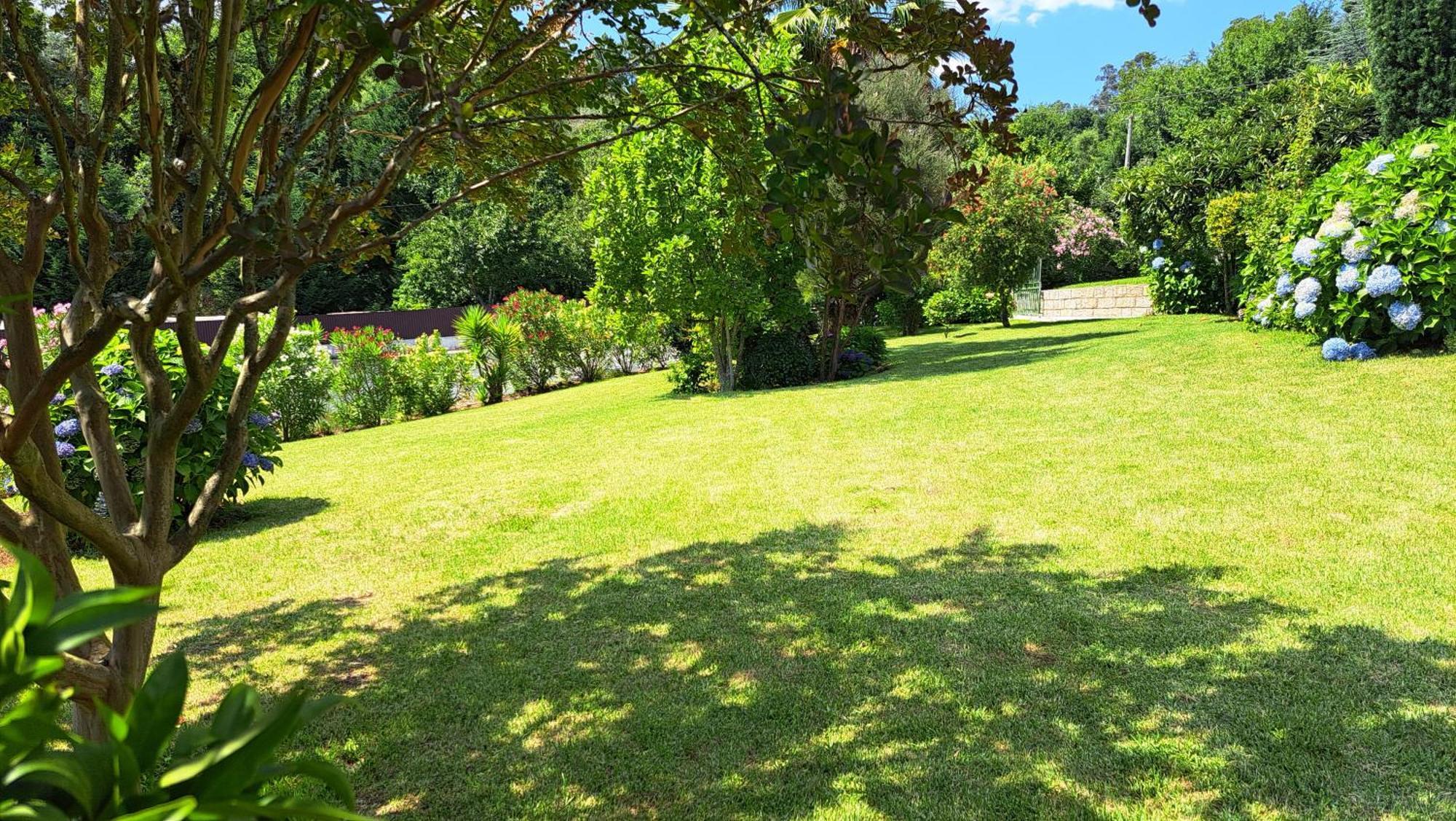 São Pedro do Sul Casa Pinhoゲストハウス エクステリア 写真