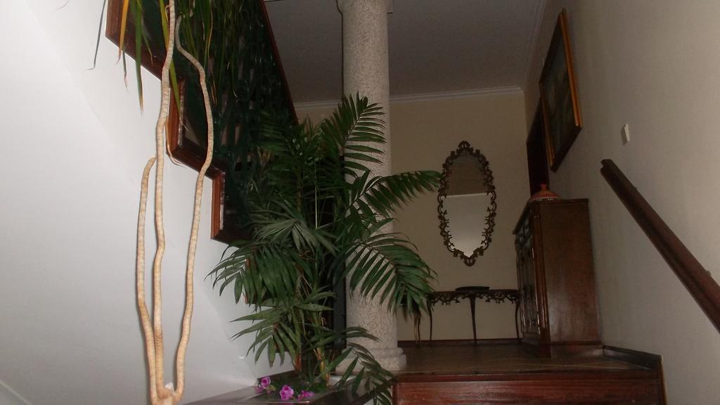 São Pedro do Sul Casa Pinhoゲストハウス エクステリア 写真